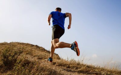 Trailrunning: Mit professioneller Unterstützung ins Gelände starten